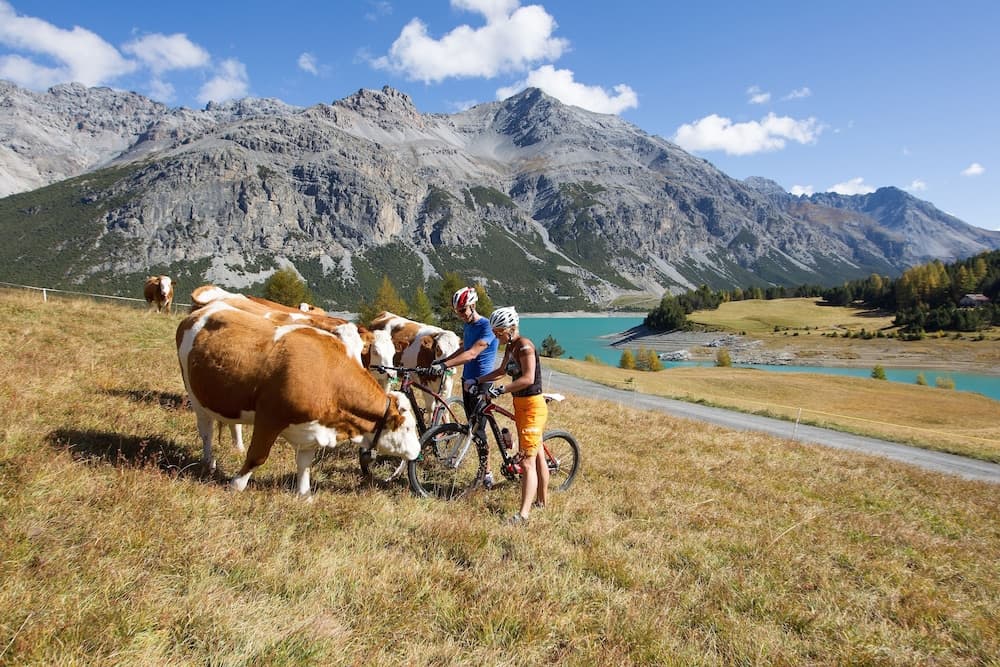 Bicycling