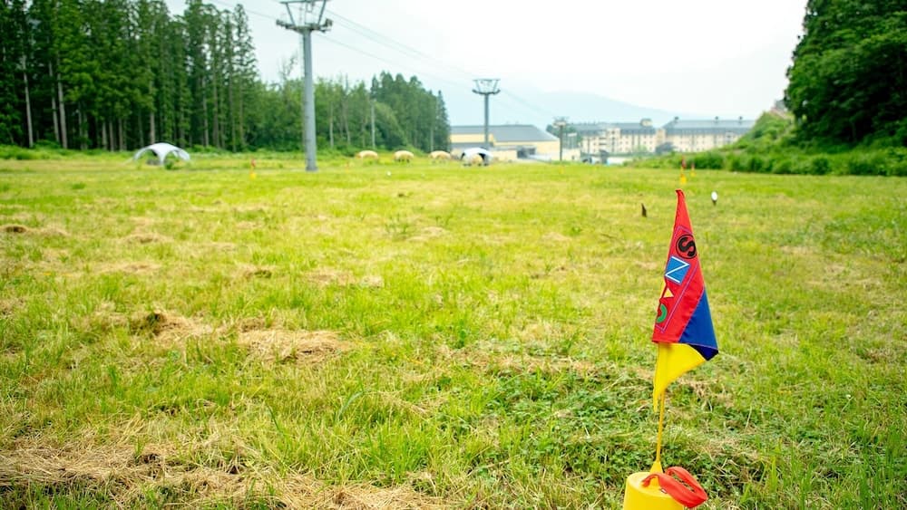 Children's activities