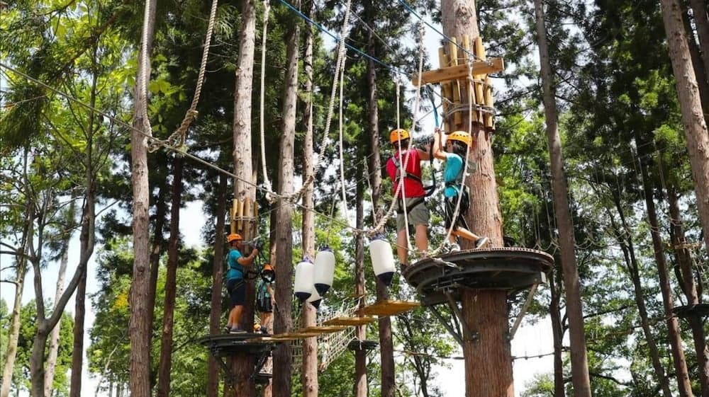 Ropes course (team building)