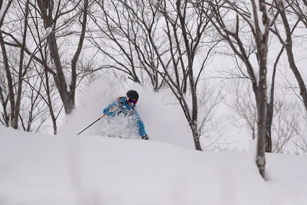 Snow and ski sports
