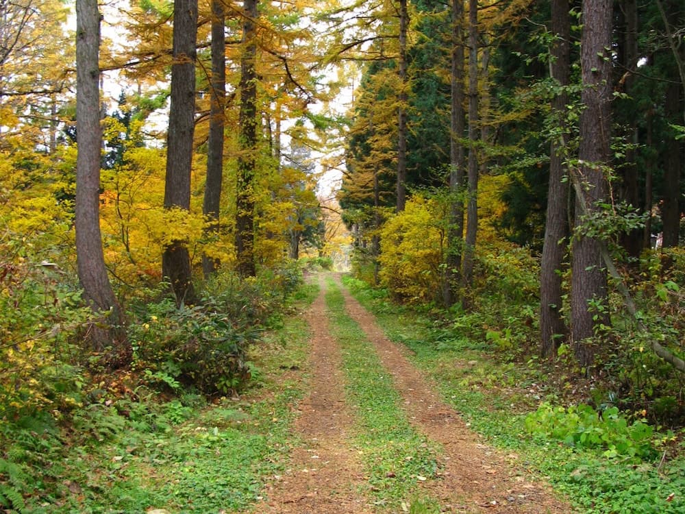 Land view from property