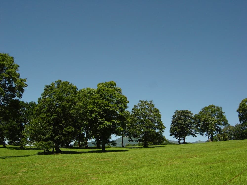 Land view from property