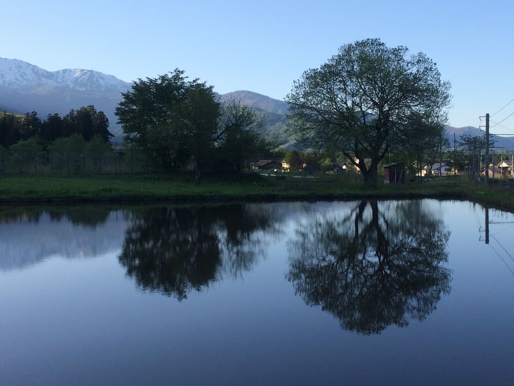 Mountain view