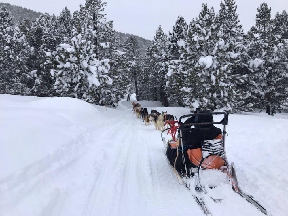 Snow and ski sports
