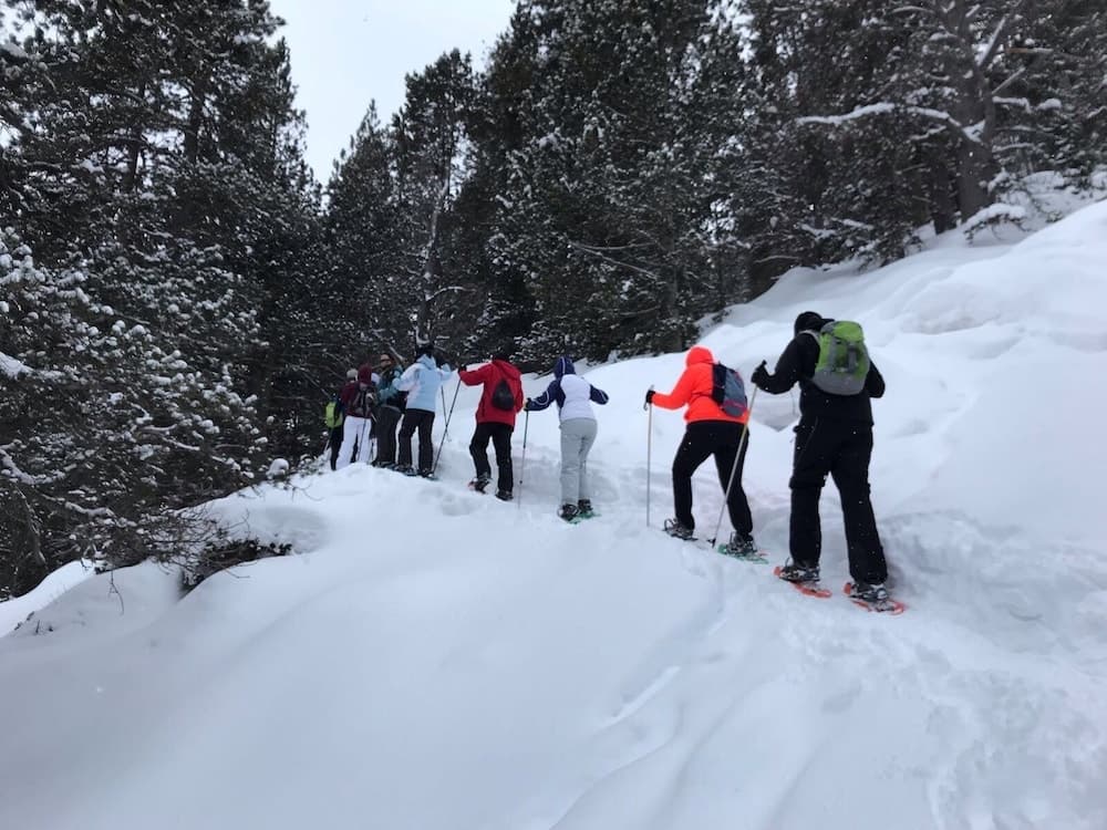 Snow and ski sports