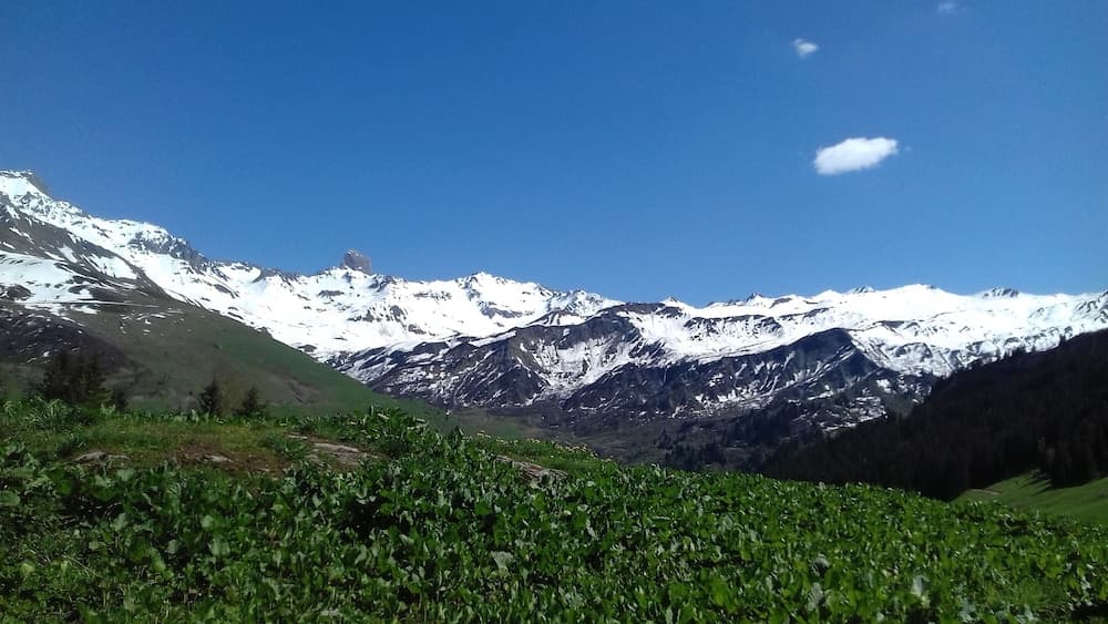 Hiking