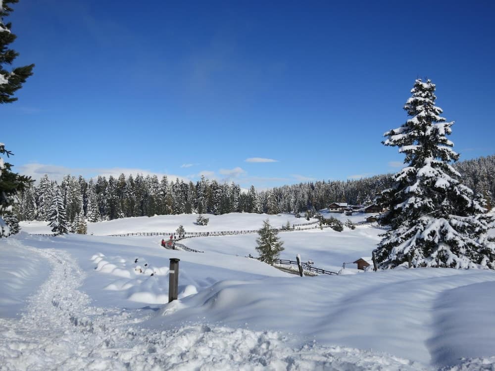 Snow and ski sports