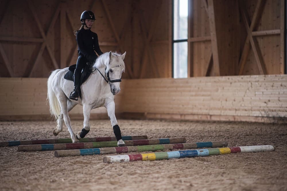 Horseback riding
