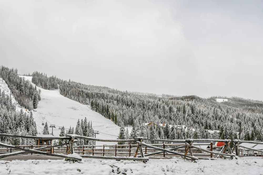 Snow and ski sports