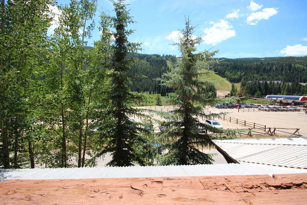 View from room