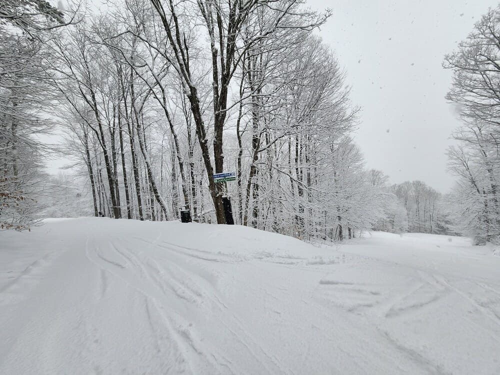 Skiing