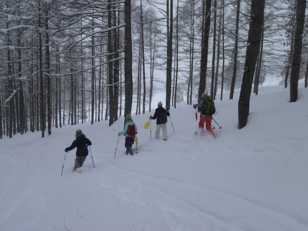 Snowshoeing