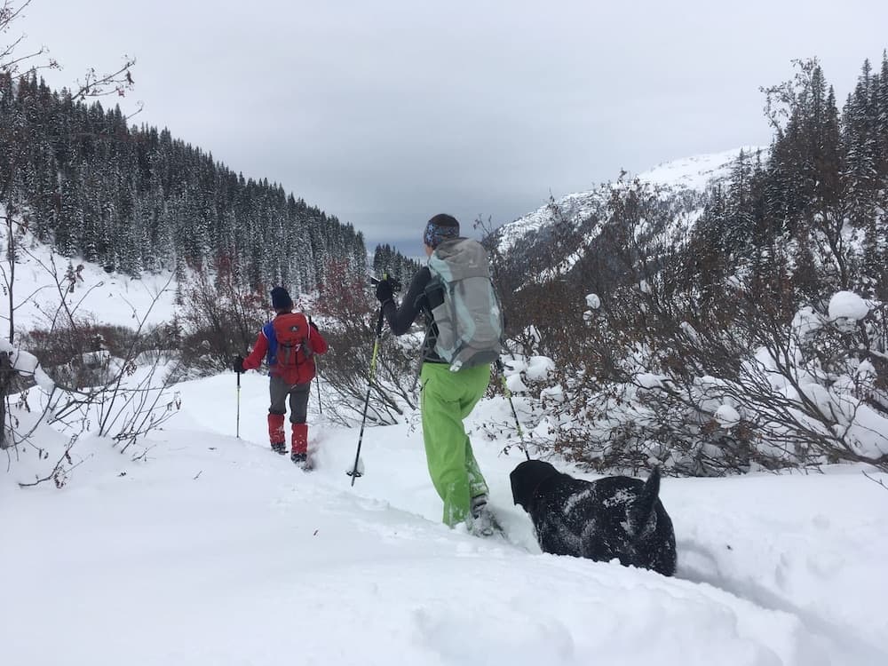 Hiking
