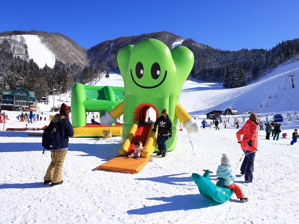 Snow and ski sports