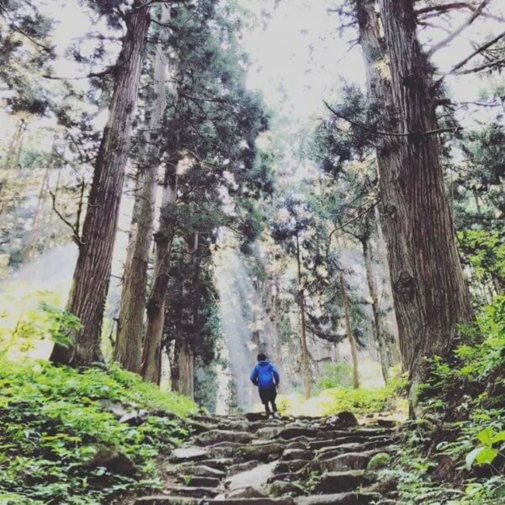 Hiking