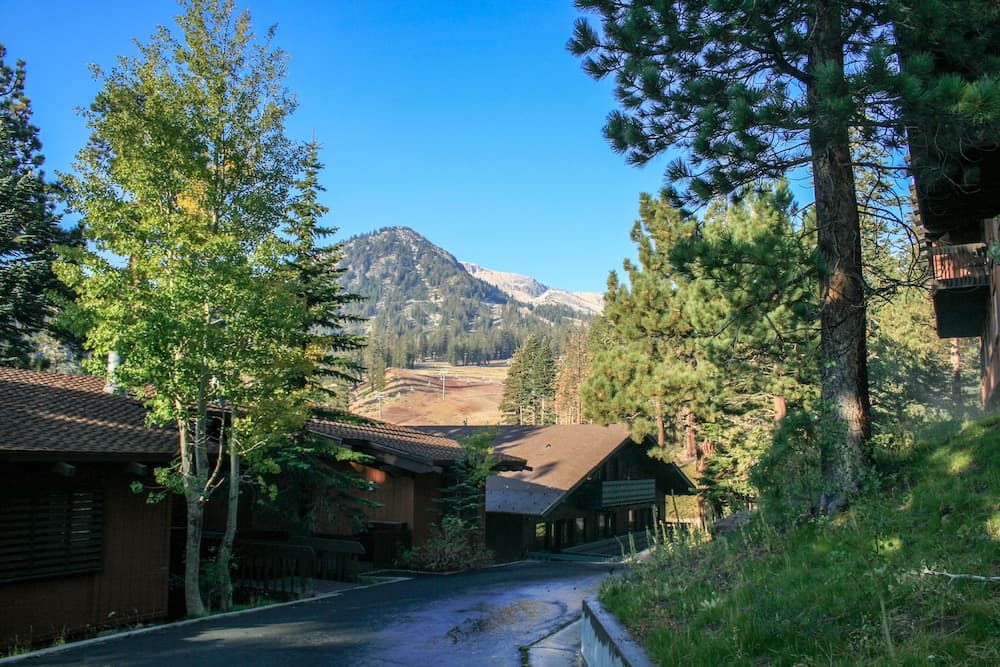 Mountain view