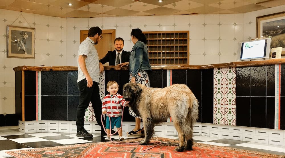 Pet-friendly