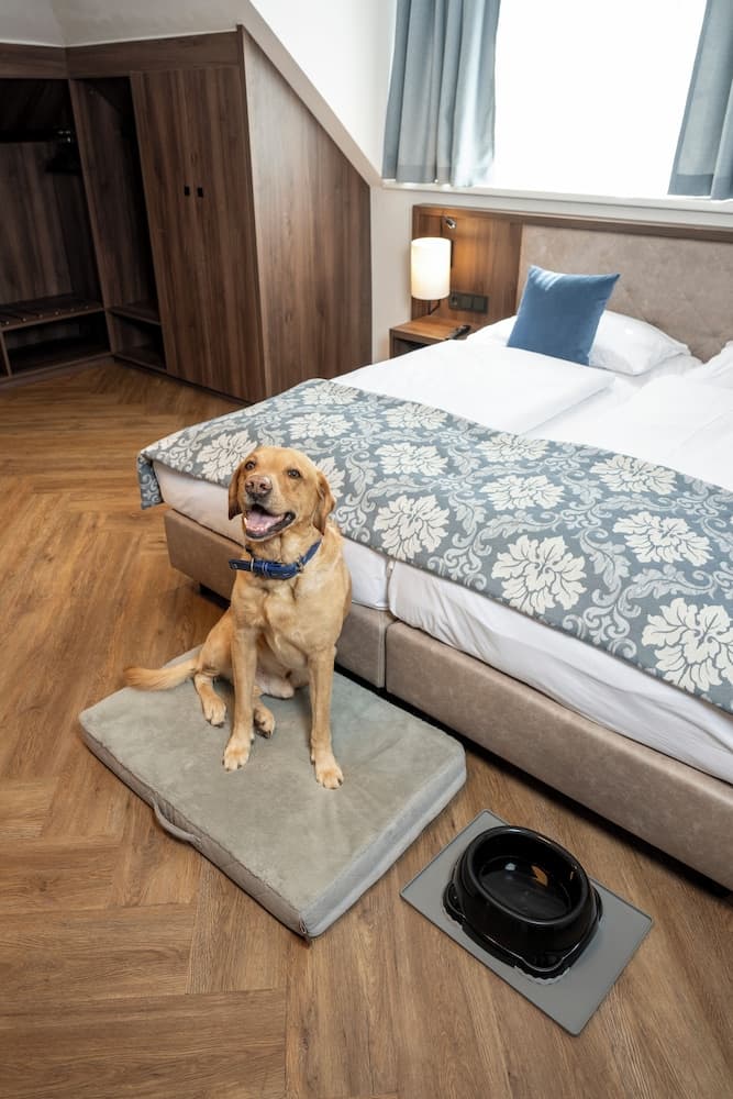 Pet-friendly