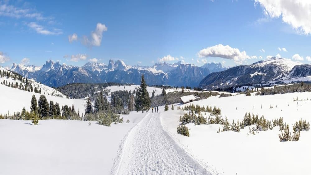 Snowshoeing