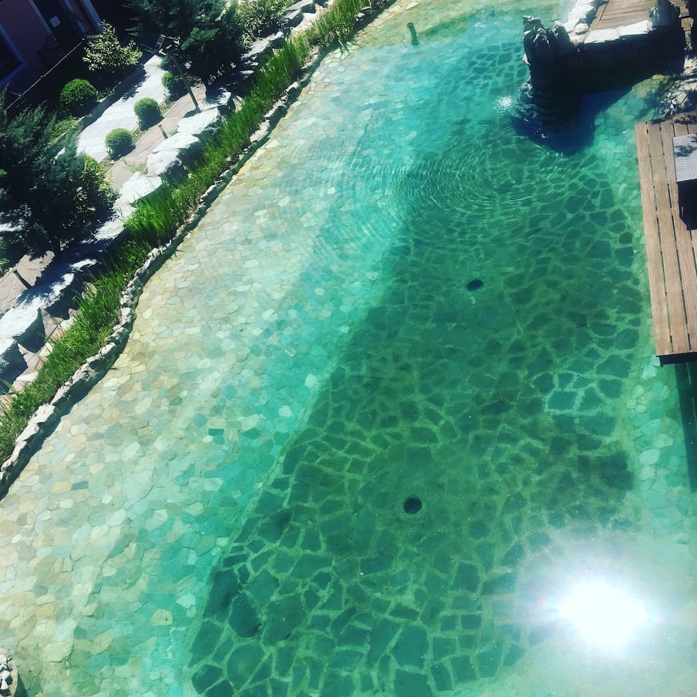 Natural pool