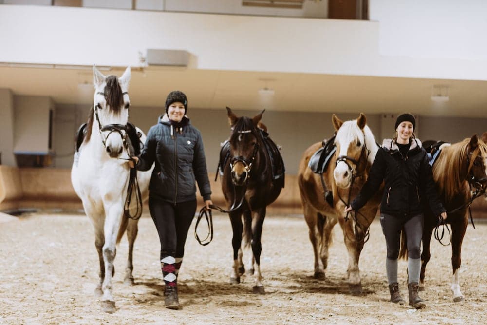 Horseback riding