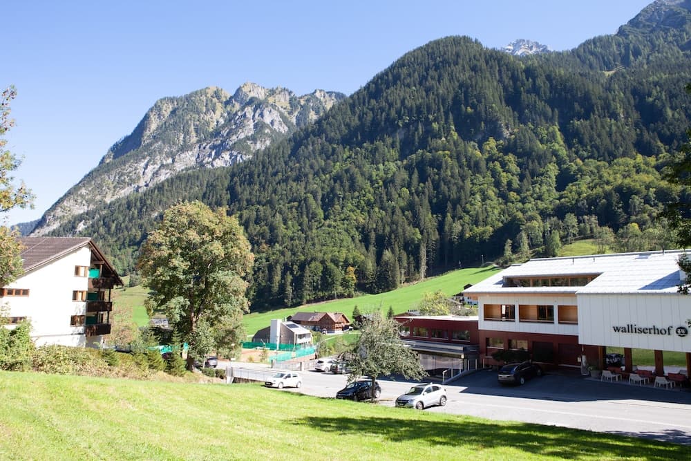 Mountain view
