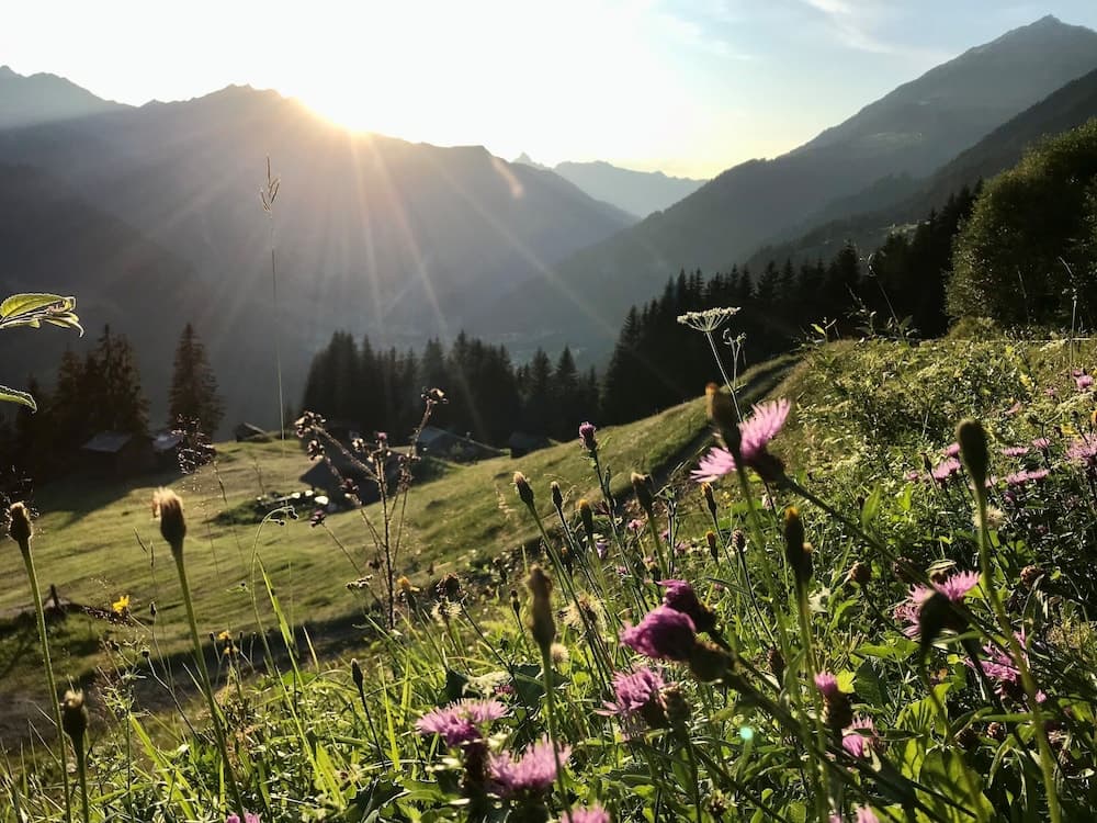 Hiking