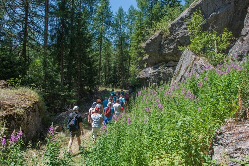 Hiking