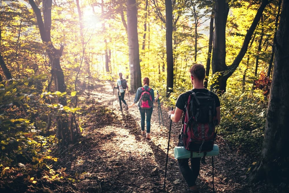 Hiking