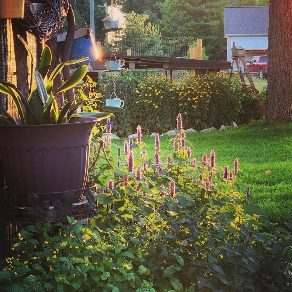 View from property