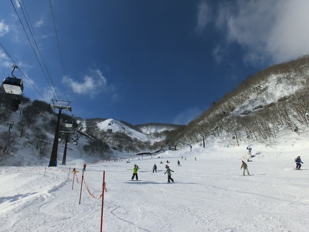 Snow and ski sports