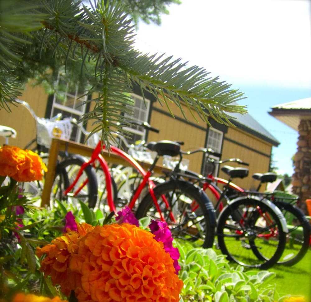 Bicycling