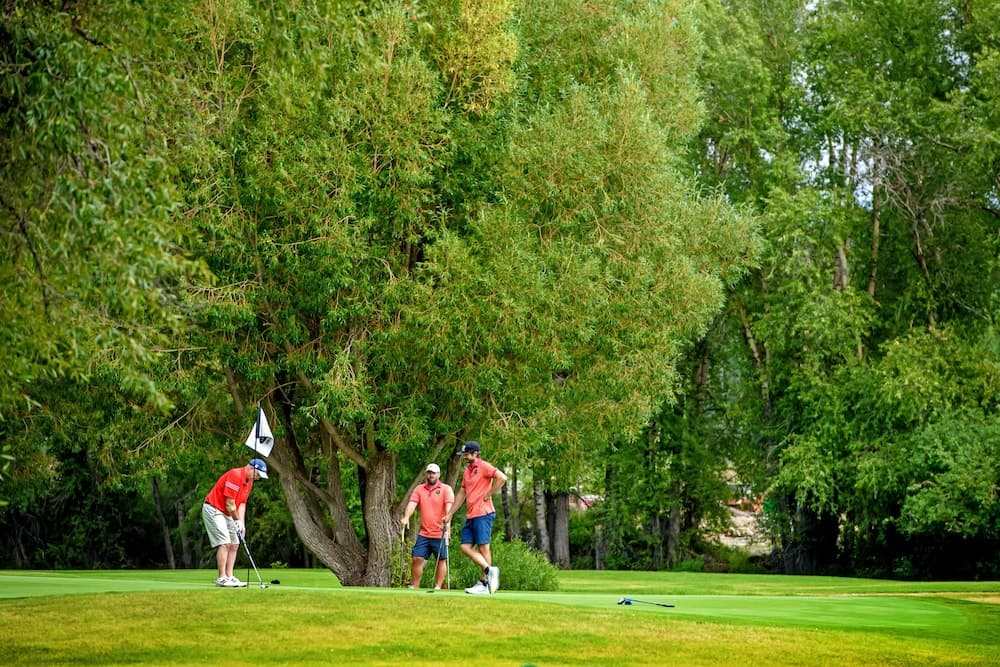 Golf