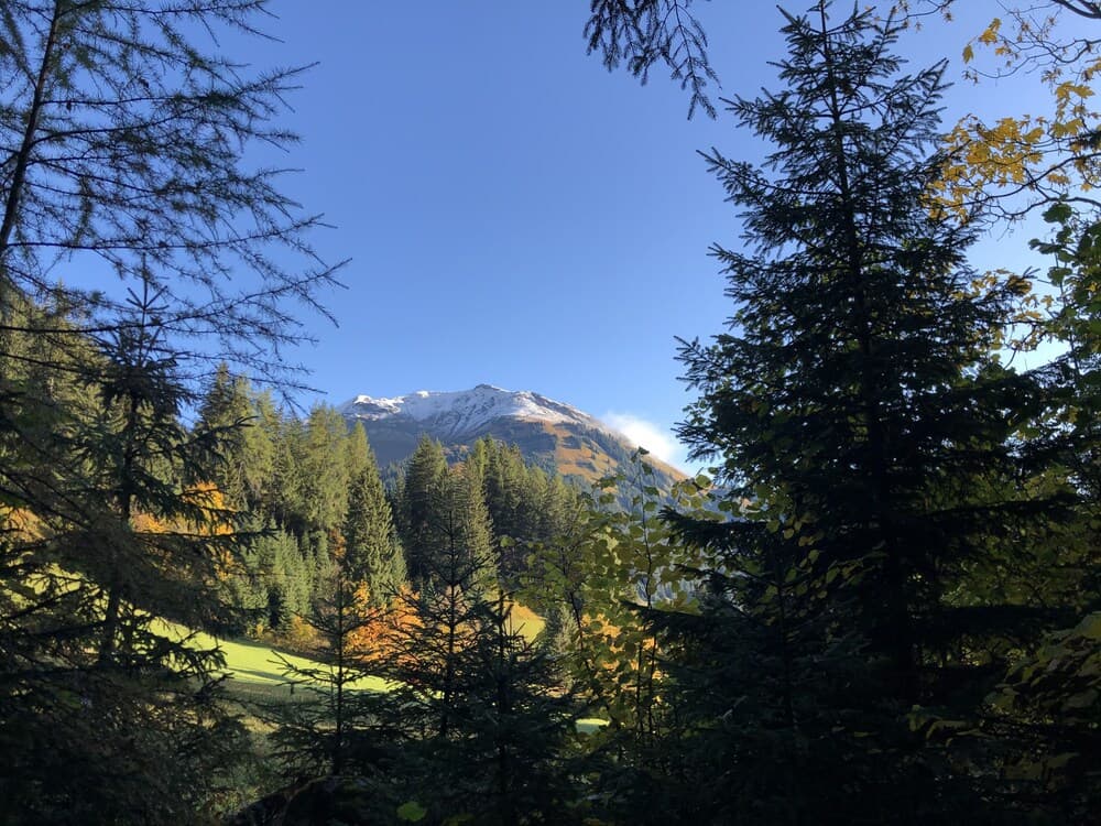 Hiking
