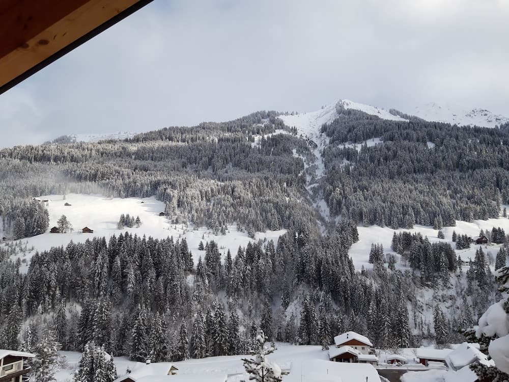 Mountain view