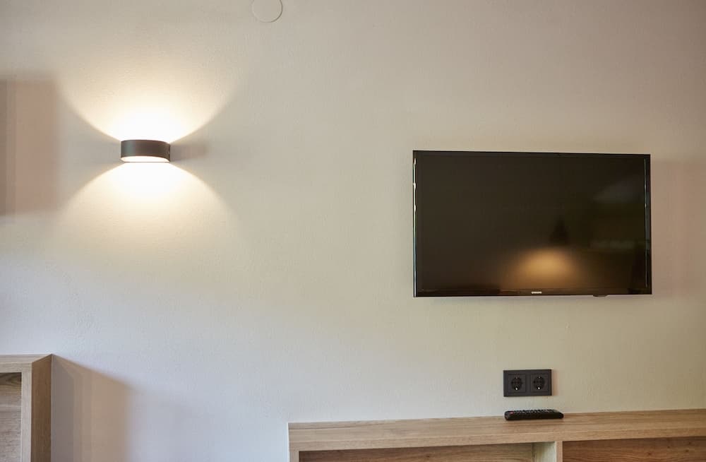 Television