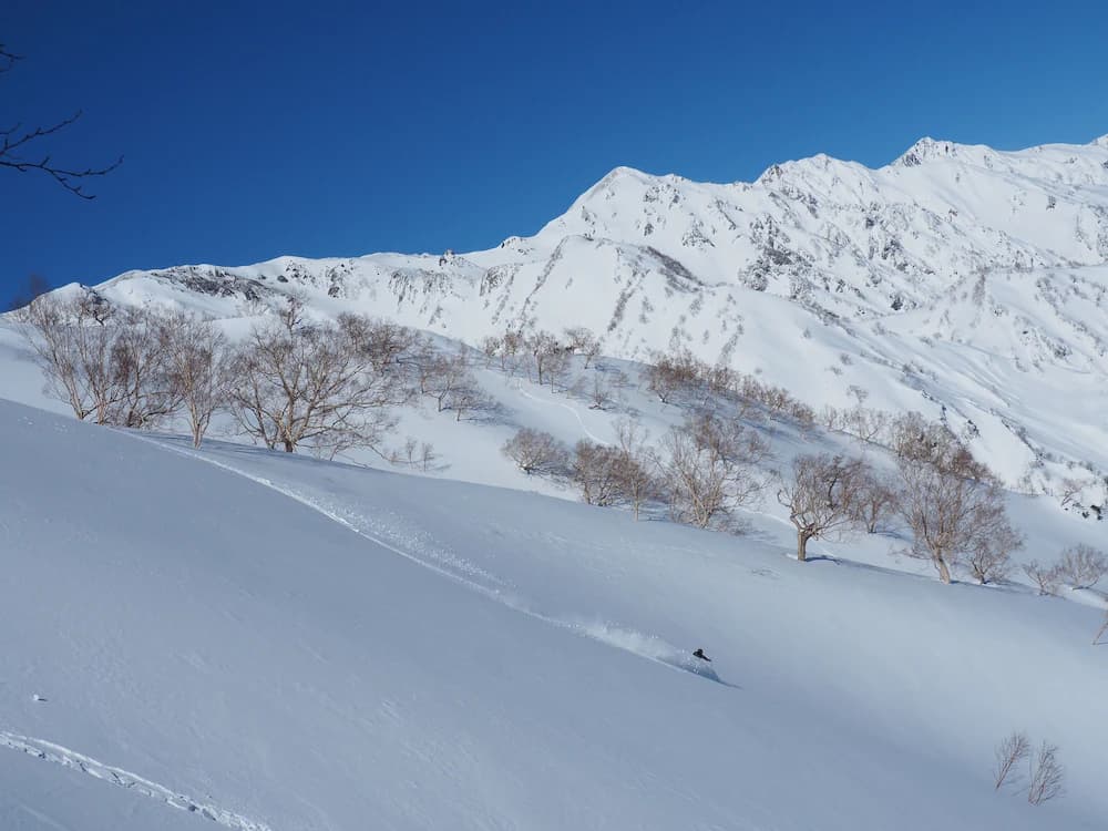 Skiing