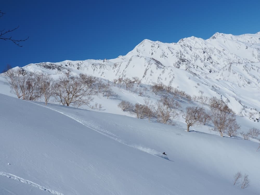 Skiing