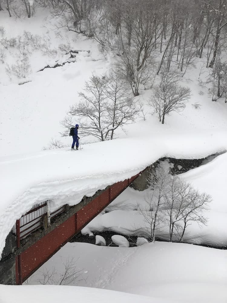Skiing