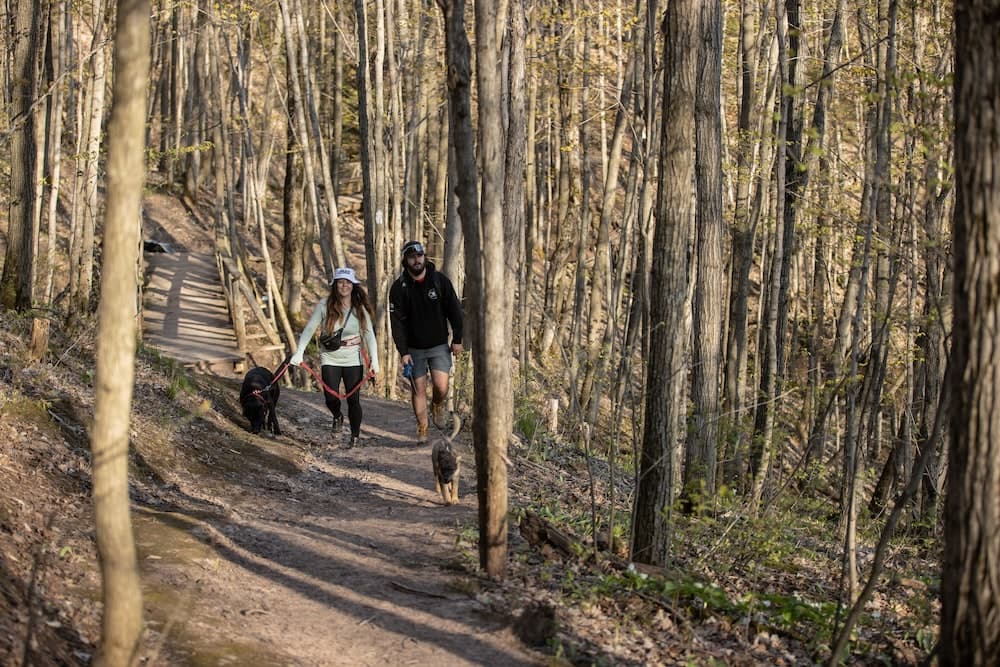 Hiking