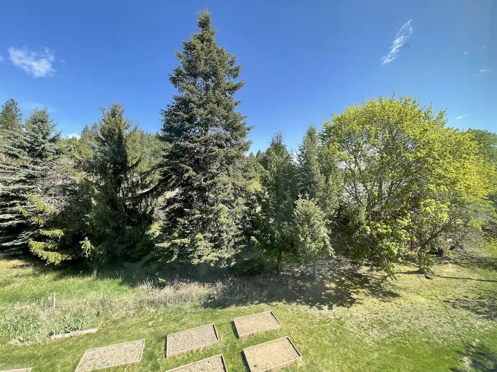Garden view