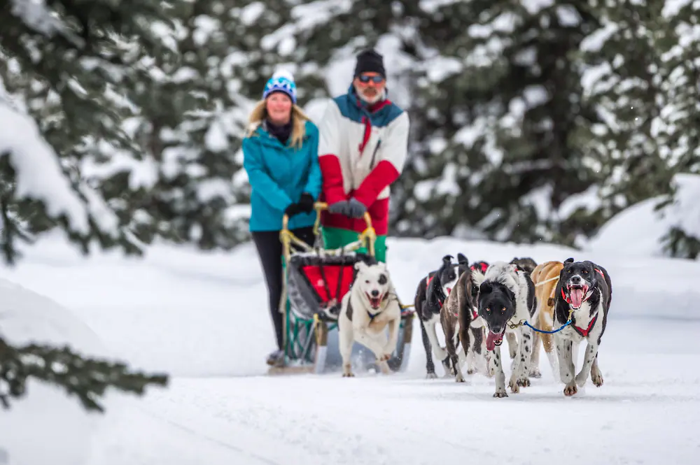 Sledding
