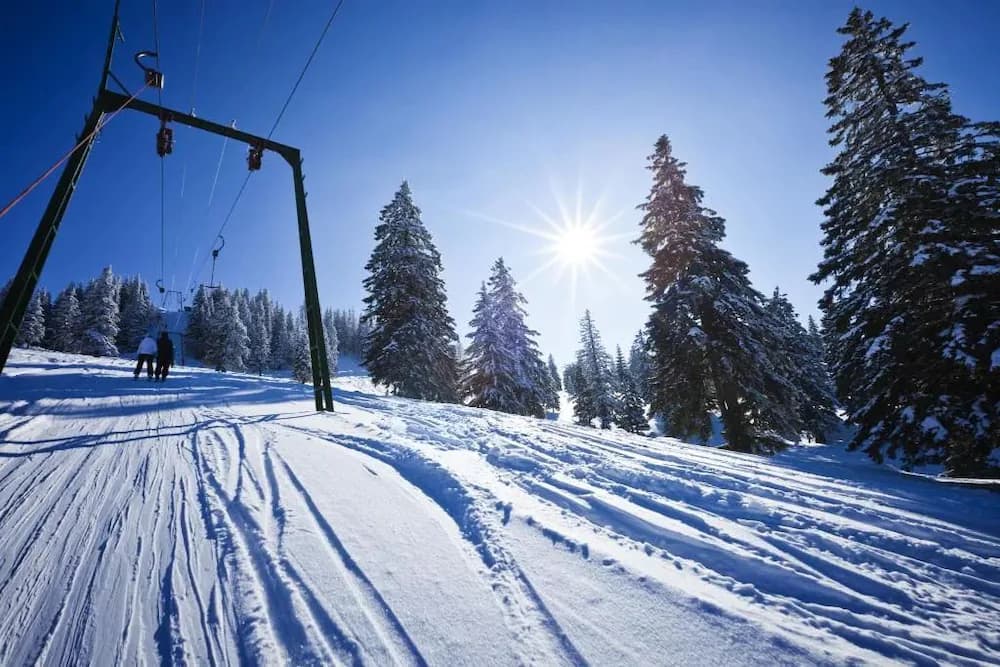 Snow and ski sports