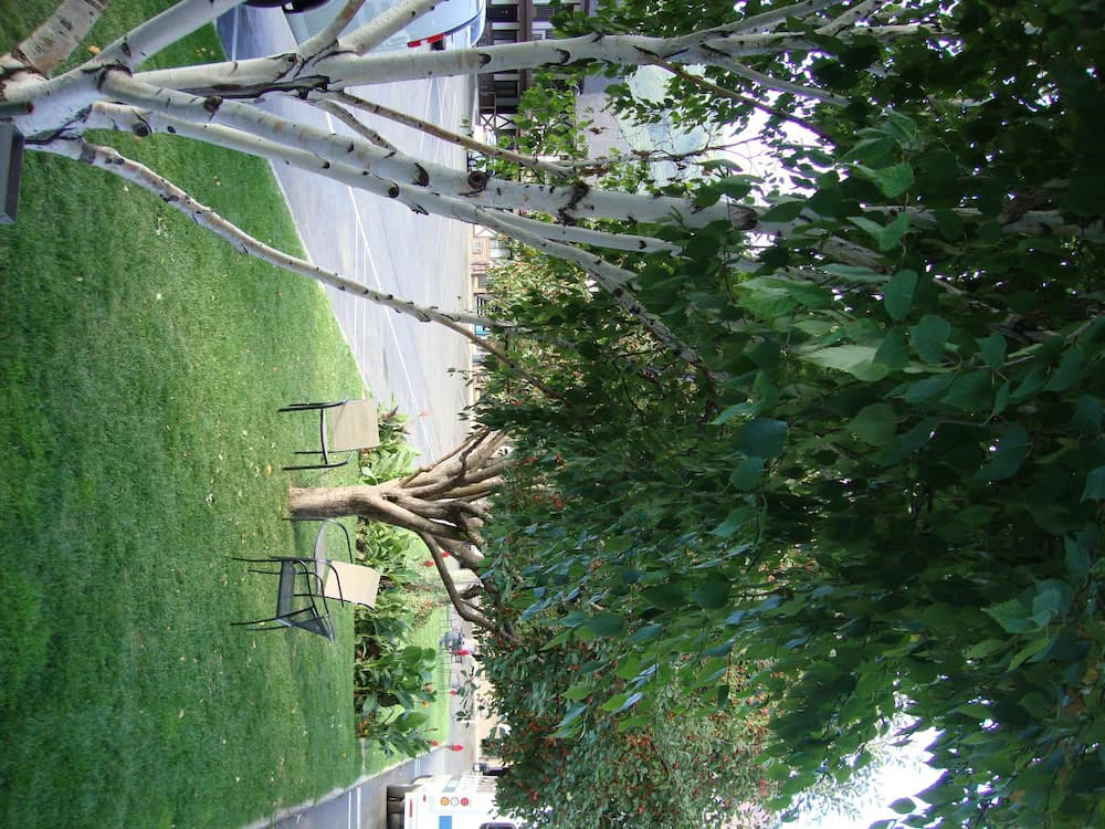 Property grounds