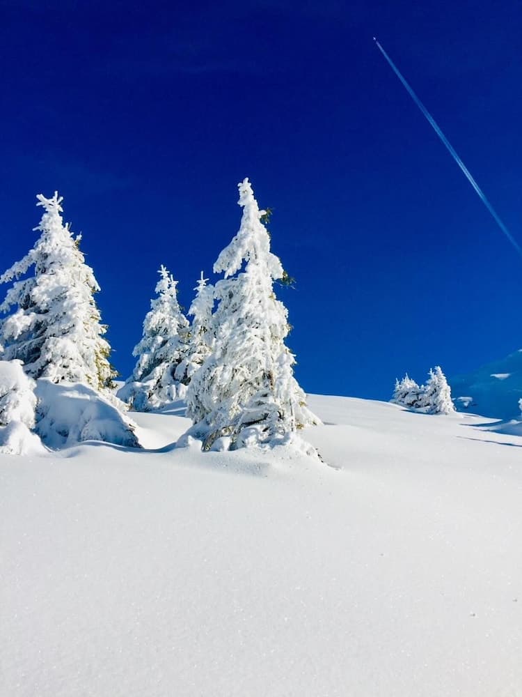 Snow and ski sports