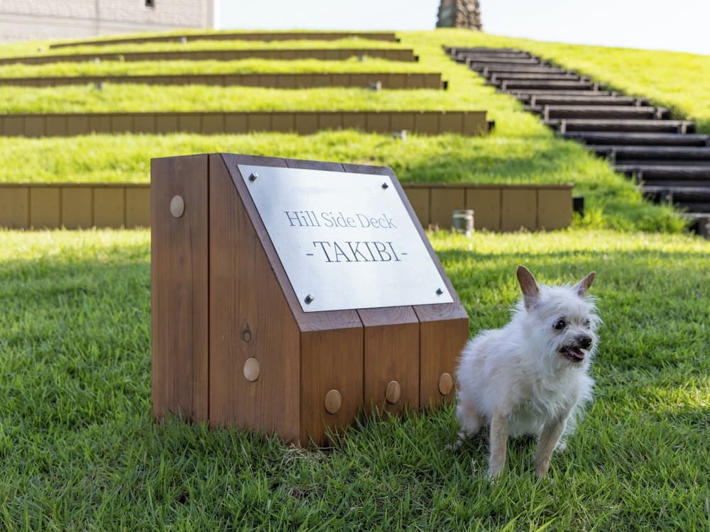 Pet-friendly