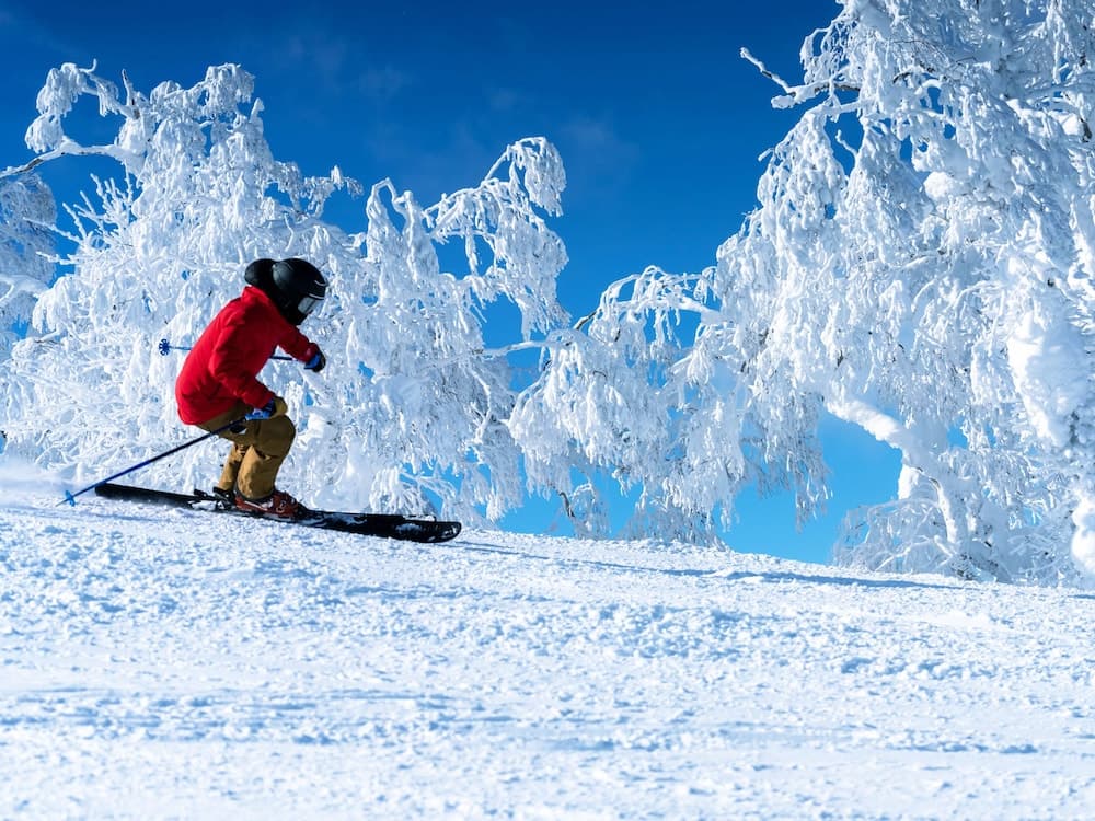 Snow and ski sports