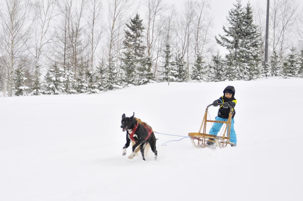 Sledding
