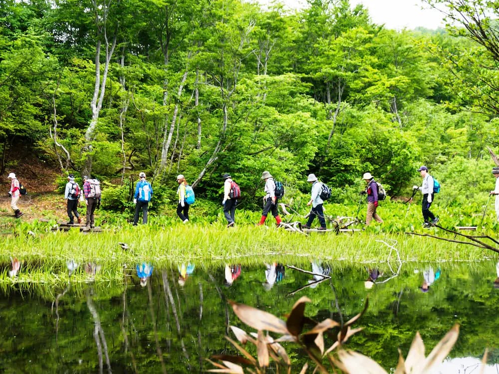 Hiking