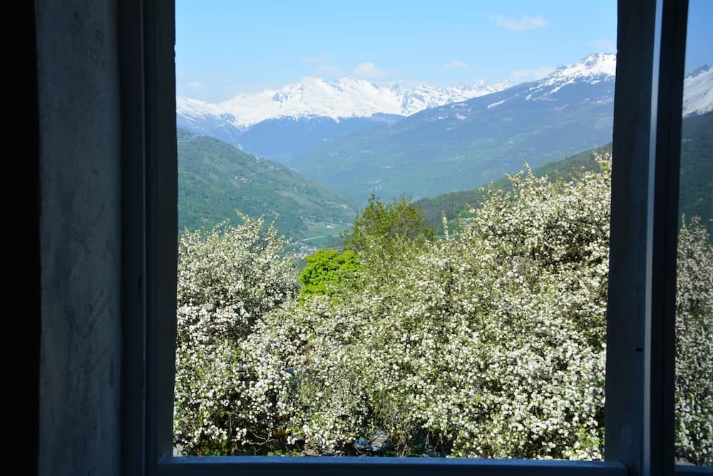 Mountain view